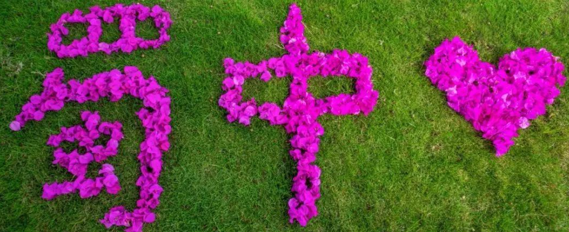 FB体育·(中国区)官方网站 -APP下载