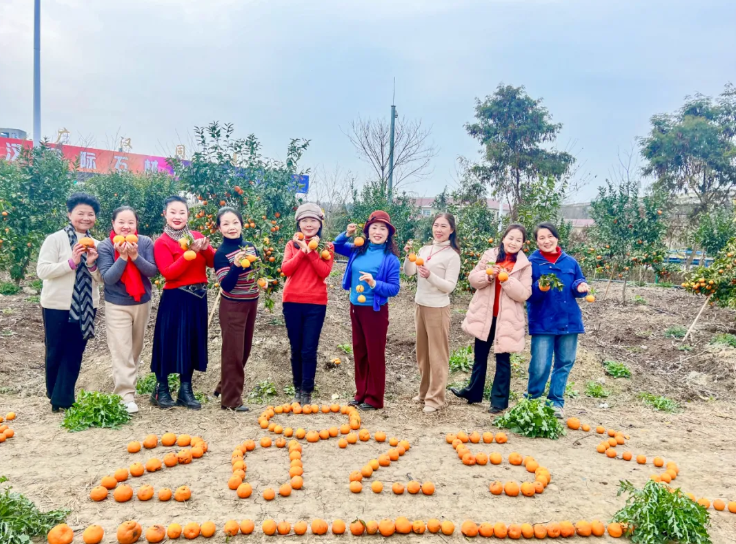 FB体育·(中国区)官方网站 -APP下载