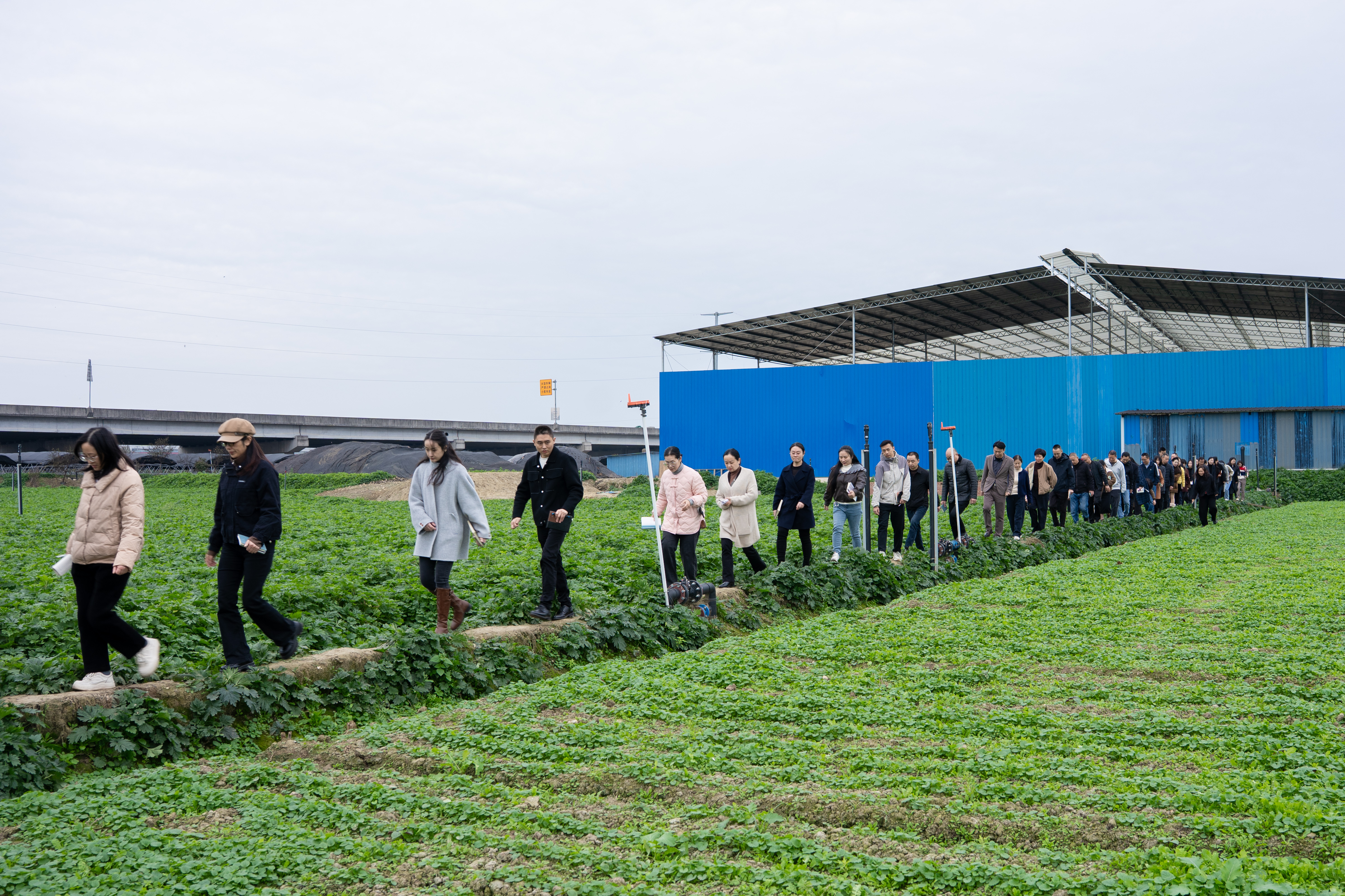 FB体育·(中国区)官方网站 -APP下载