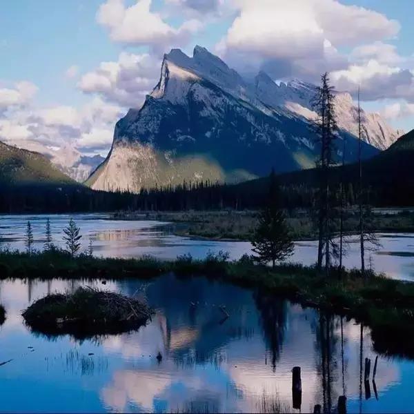 FB体育·(中国区)官方网站 -APP下载